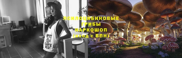 PSILOCYBIN Нефтегорск