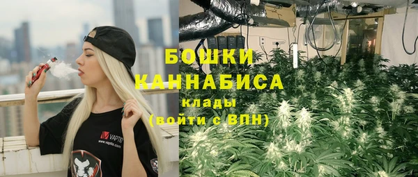 сатива Нея