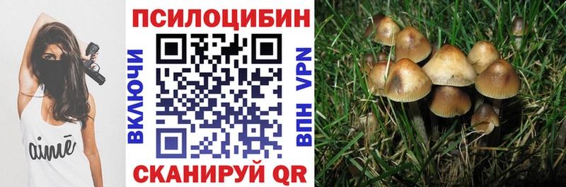 Галлюциногенные грибы прущие грибы  Суздаль 
